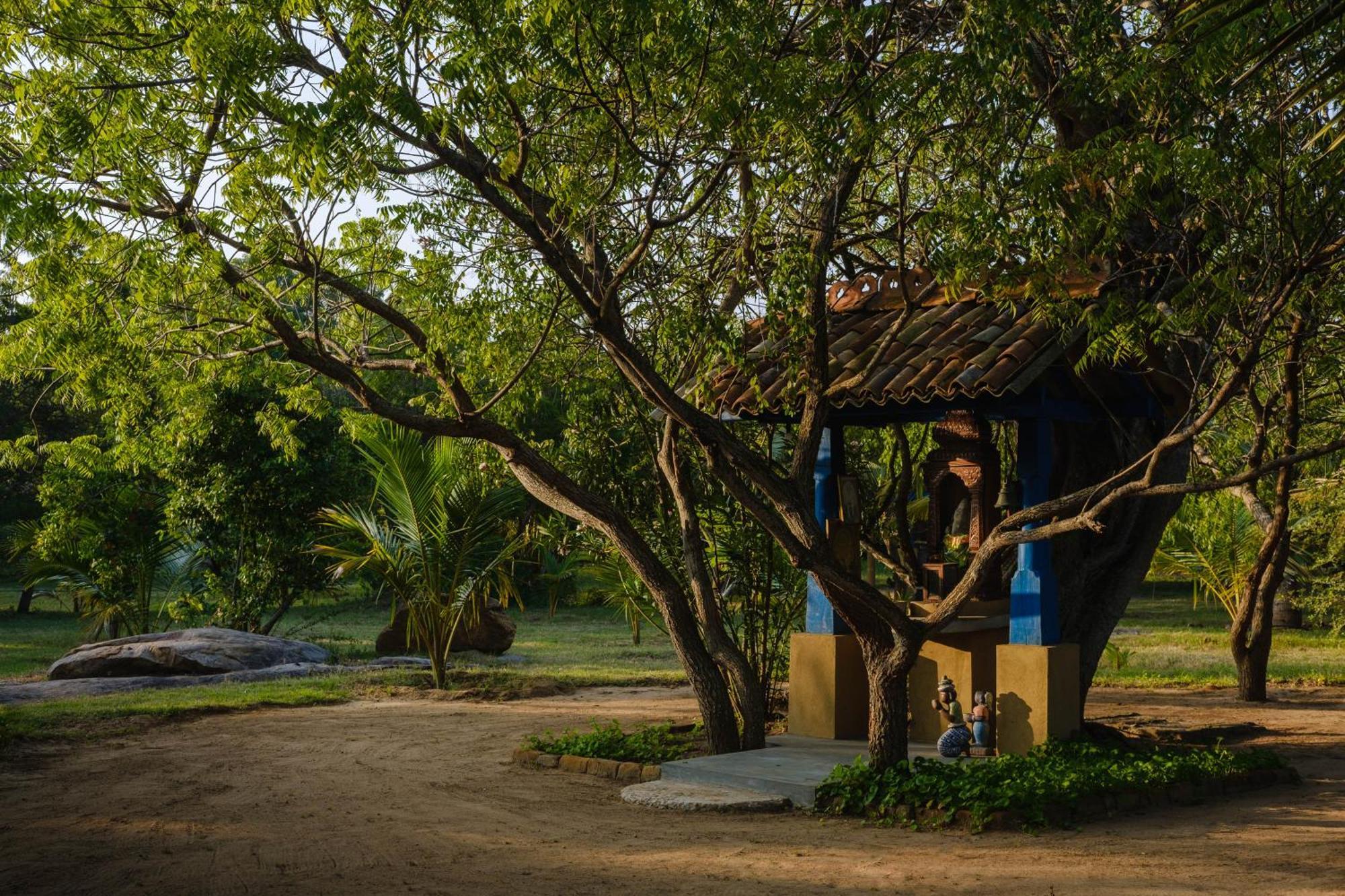 Treasure Rock Bed & Breakfast Kirinda  Exterior foto